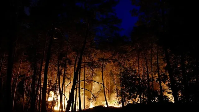 Fontainebleau forest wildfire burns 800 hectares near Paris