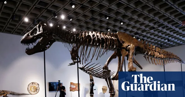 Gus the T. rex fossil sells for record $50.1 million at auction