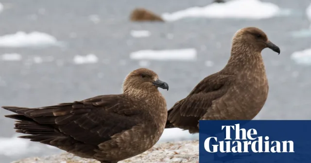 New Zealand confirms first H5N1 bird flu case in native seabird
