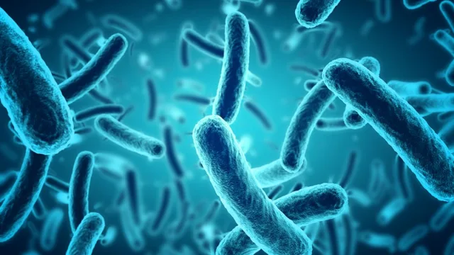 UK salmonella outbreak linked to imported eggs leaves one dead and hundr…