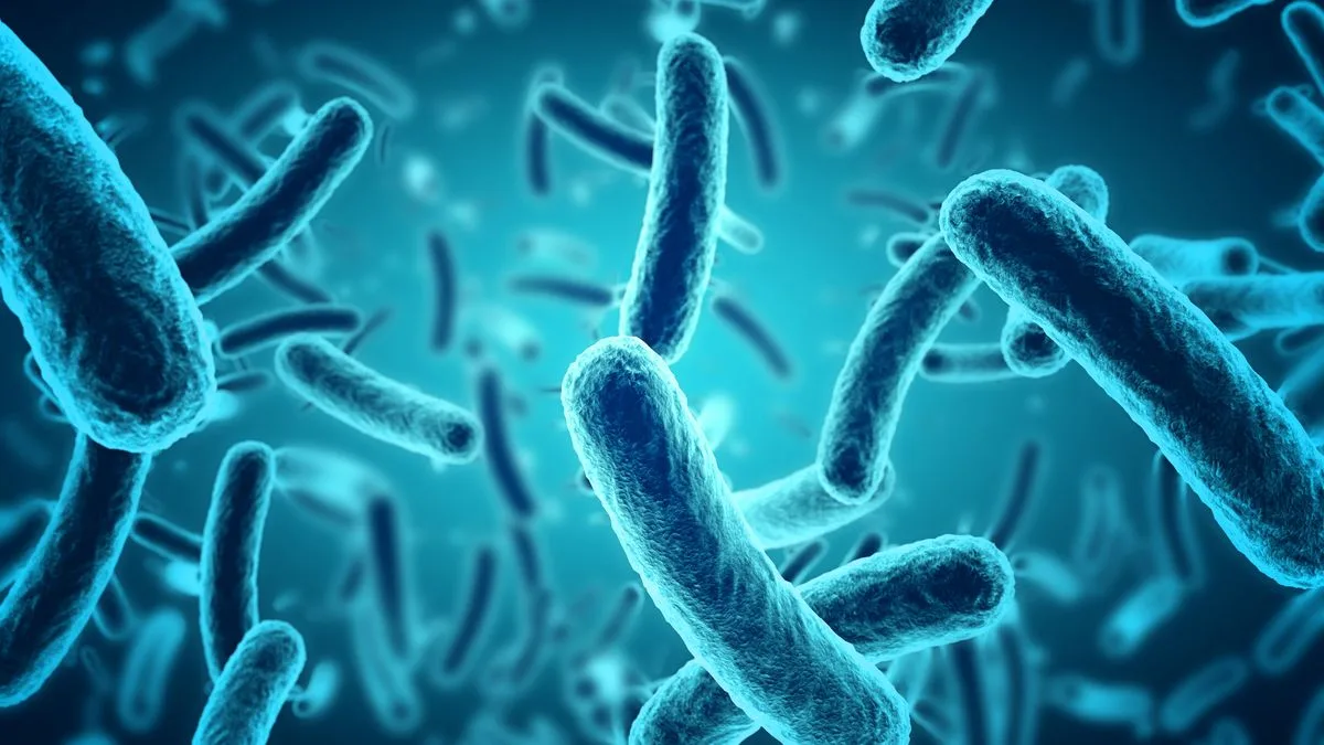 UK salmonella outbreak linked to imported eggs leaves one dead and hundr…