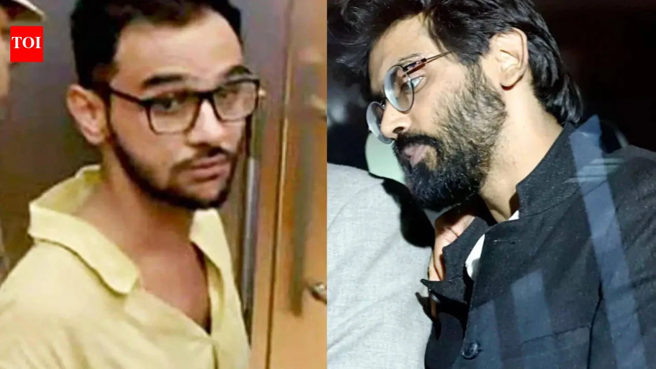 Delhi High Court Rejects Bail Pleas Of Umar Khalid, Sharjeel Imam In 202…
