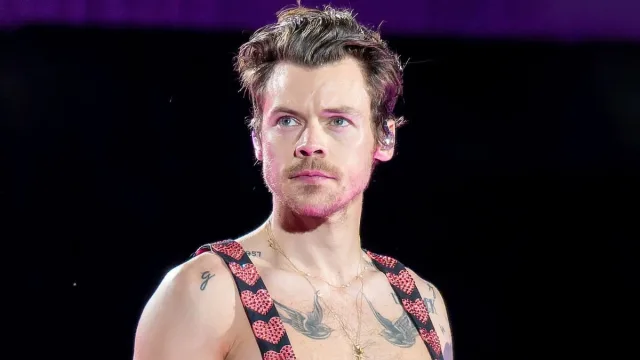 Harry Styles announces 2027 Together, Together tour dates