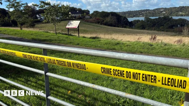 Newborn baby body found on Wales shoreline as police search for mother