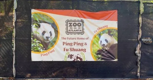 Two giant pandas arrive at Atlanta zoo from China for 10-year stay