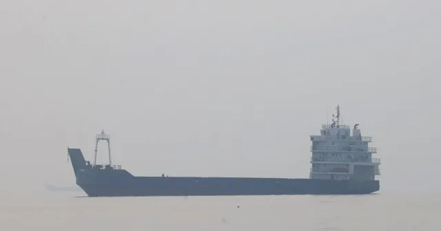 Cargo ship sinks in Strait of Hormuz after hitting naval mine