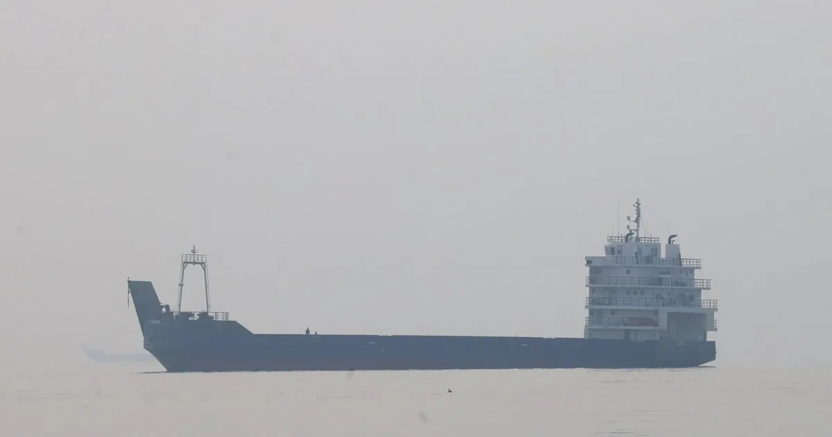 Cargo ship sinks in Strait of Hormuz after hitting naval mine