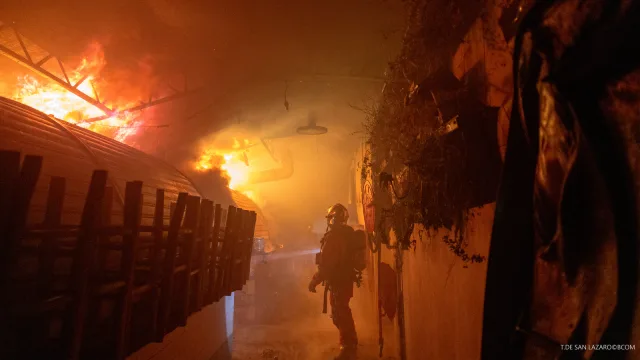 Enfants Rouges Market Destroyed by Fire in Paris
