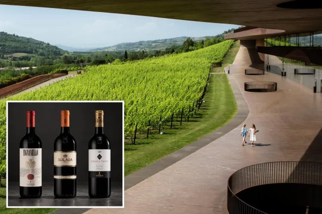 Thieves pull off Italy’s biggest-ever wine heist, stealing 30,000 bottle…
