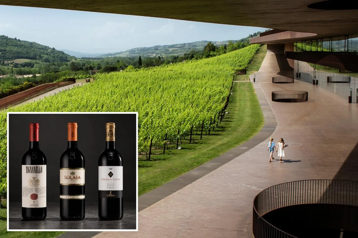Thieves pull off Italy’s biggest-ever wine heist, stealing 30,000 bottle…
