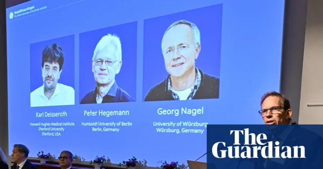 Nobel medicine prize awarded for optogenetics brain activity research