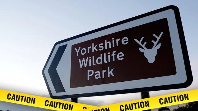 Yorkshire Wildlife Park man dies after entering tiger enclosure